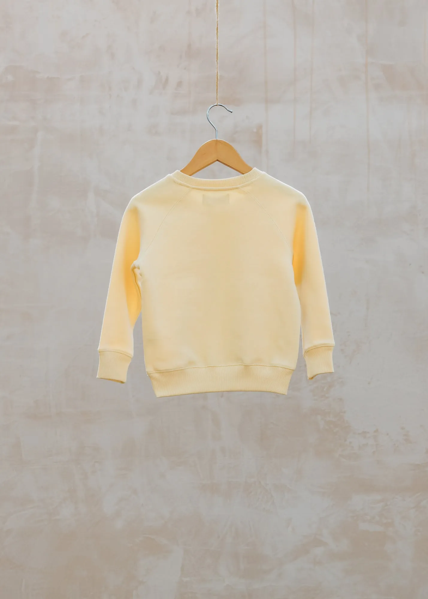 Brother Sweatshirt in Sherbet